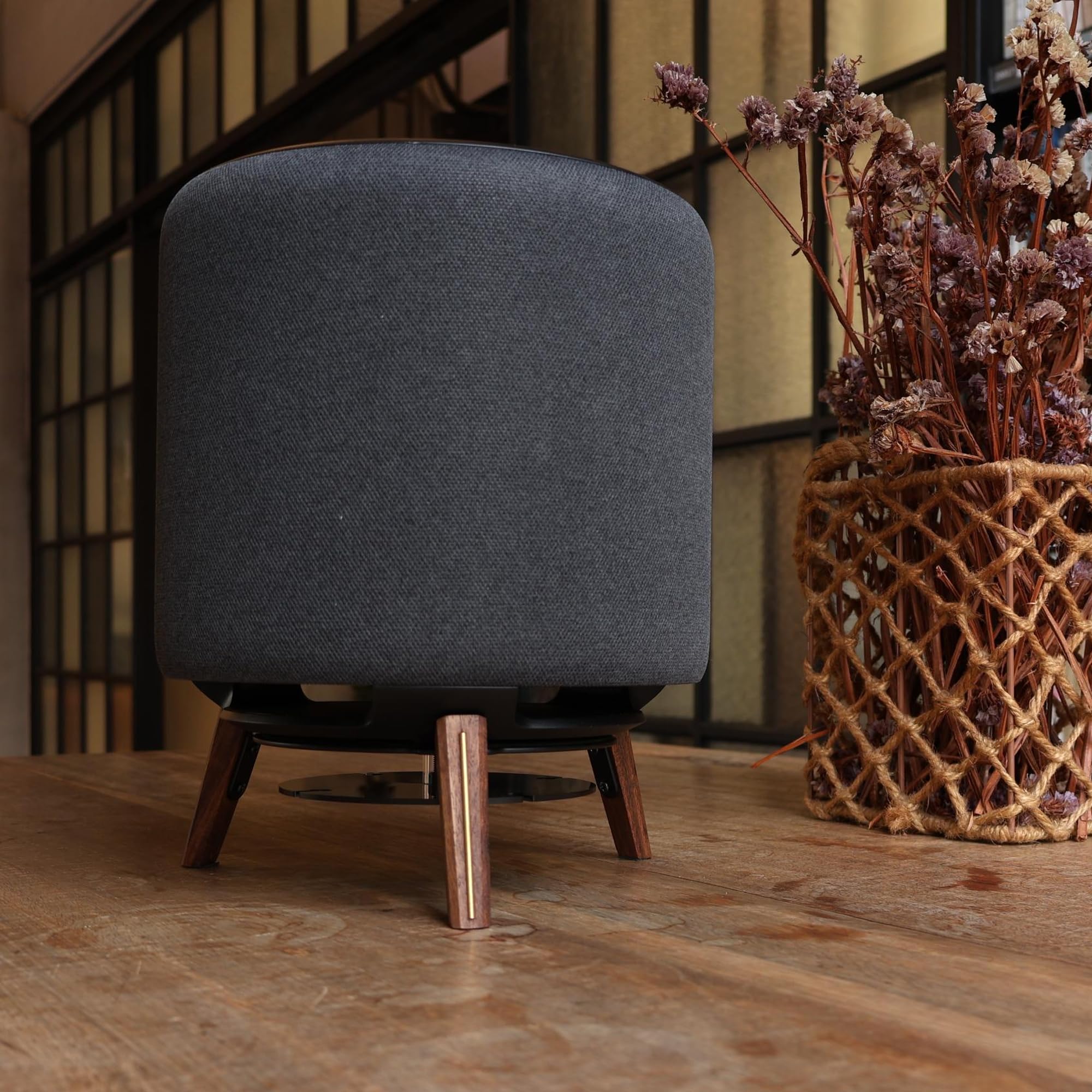 Amazon | Alloery ユニバーサル Echo Sub サブウーファー デスクトップ